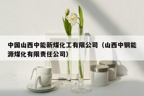 中国山西中能新煤化工有限公司（山西中钢能源煤化有限责任公司）