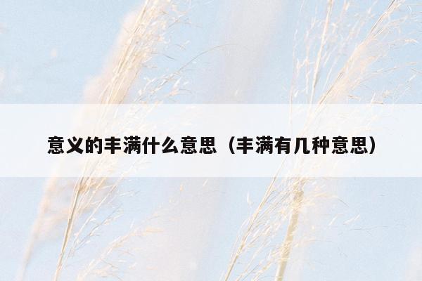 意义的丰满什么意思（丰满有几种意思）