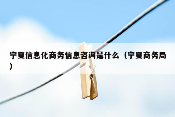 宁夏信息化商务信息咨询是什么（宁夏商务局）
