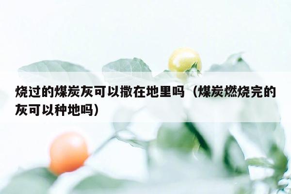 烧过的煤炭灰可以撒在地里吗（煤炭燃烧完的灰可以种地吗）