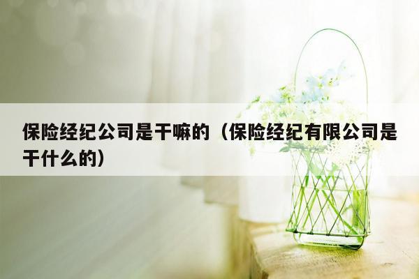 保险经纪公司是干嘛的（保险经纪有限公司是干什么的）