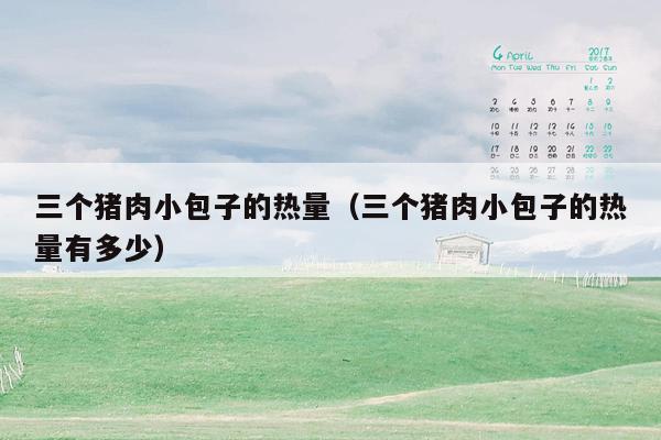 三个猪肉小包子的热量（三个猪肉小包子的热量有多少）