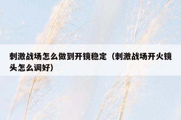 刺激战场怎么做到开镜稳定（刺激战场开火镜头怎么调好）