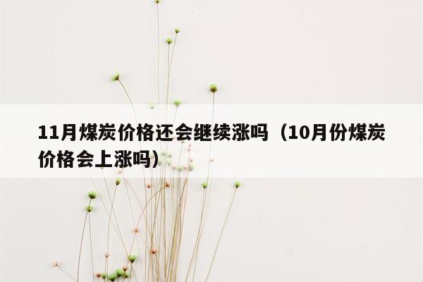 11月煤炭价格还会继续涨吗（10月份煤炭价格会上涨吗）
