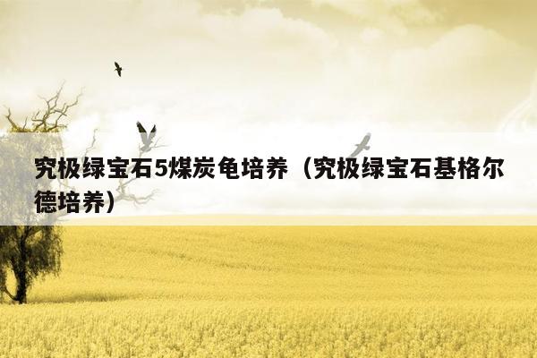 究极绿宝石5煤炭龟培养（究极绿宝石基格尔德培养）
