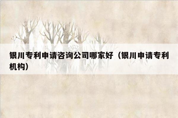 银川专利申请咨询公司哪家好（银川申请专利机构）