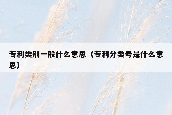 专利类别一般什么意思（专利分类号是什么意思）