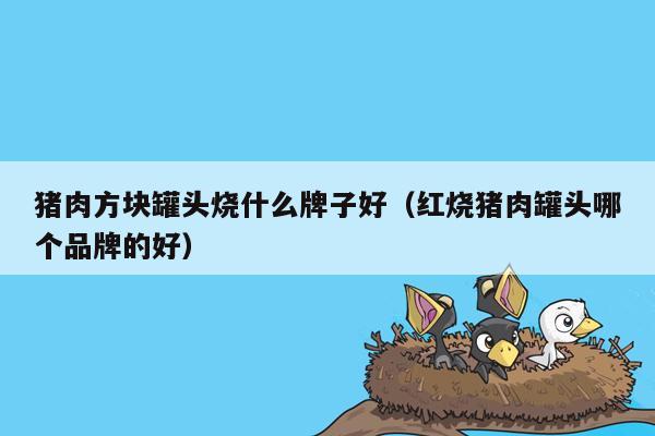 猪肉方块罐头烧什么牌子好（红烧猪肉罐头哪个品牌的好）