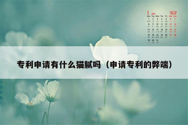 专利申请有什么猫腻吗（申请专利的弊端）