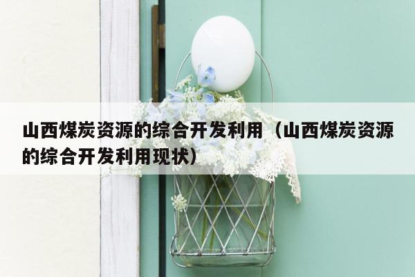 山西煤炭资源的综合开发利用（山西煤炭资源的综合开发利用现状）