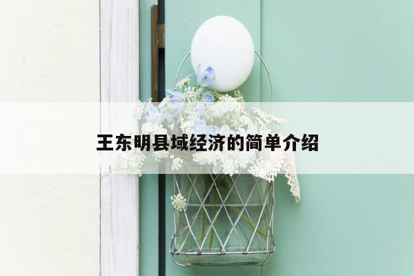 王东明县域经济的简单介绍