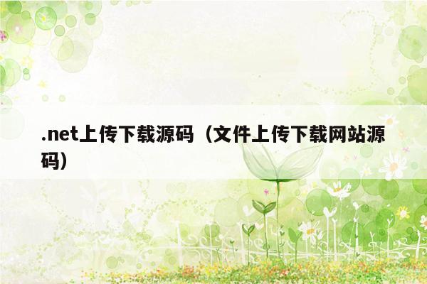 .net上传下载源码（文件上传下载网站源码）