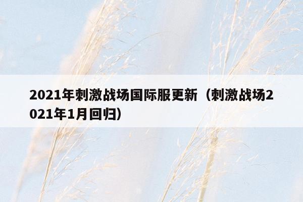 2021年刺激战场国际服更新（刺激战场2021年1月回归）