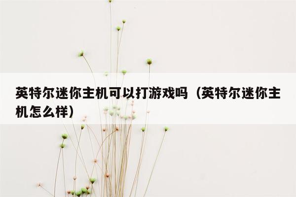 英特尔迷你主机可以打游戏吗（英特尔迷你主机怎么样）
