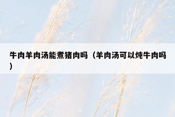 牛肉羊肉汤能煮猪肉吗（羊肉汤可以炖牛肉吗）