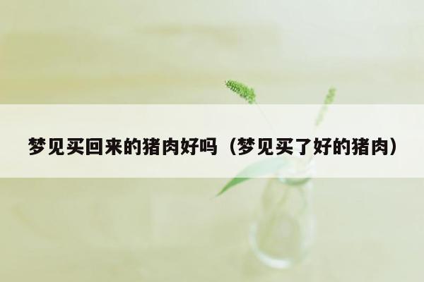 梦见买回来的猪肉好吗（梦见买了好的猪肉）