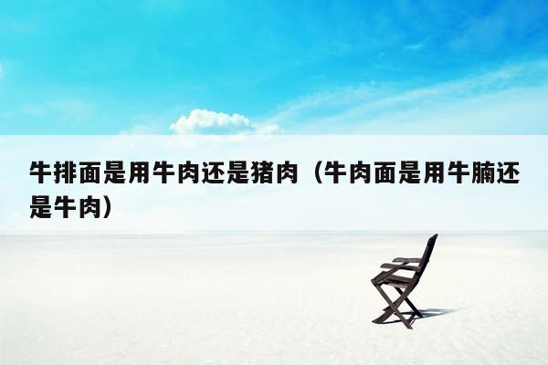 牛排面是用牛肉还是猪肉（牛肉面是用牛腩还是牛肉）