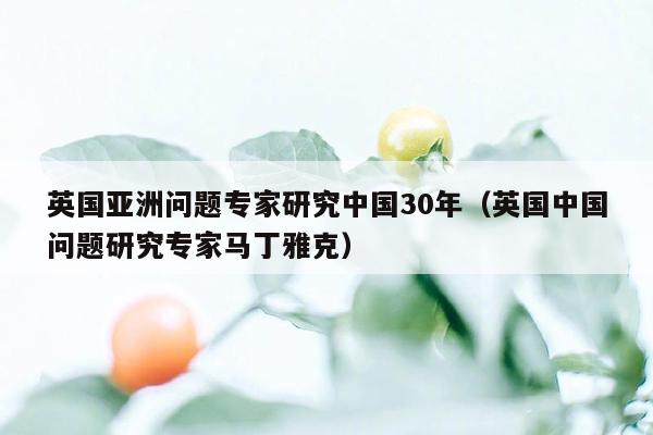 英国亚洲问题专家研究中国30年（英国中国问题研究专家马丁雅克）