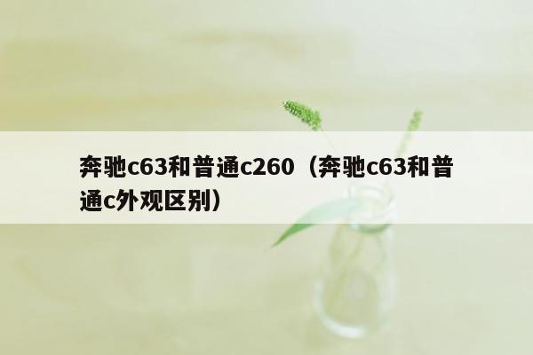 奔驰c63和普通c260（奔驰c63和普通c外观区别）