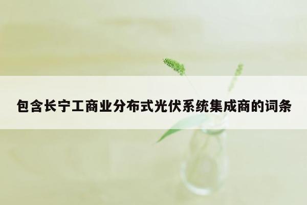 包含长宁工商业分布式光伏系统集成商的词条