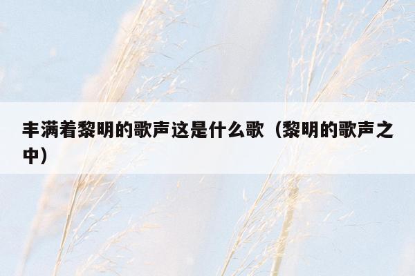 丰满着黎明的歌声这是什么歌（黎明的歌声之中）