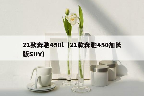 21款奔驰450l（21款奔驰450加长版SUV）