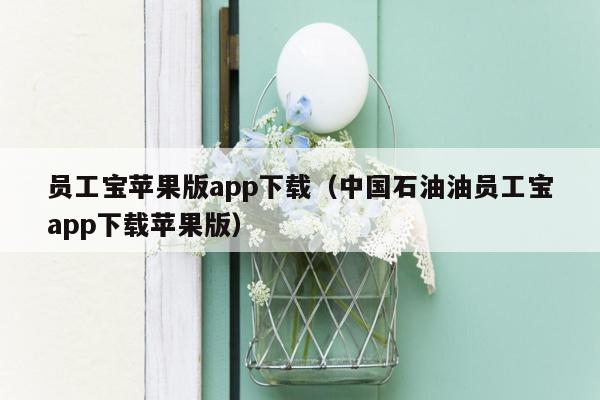 员工宝苹果版app下载（中国石油油员工宝app下载苹果版）