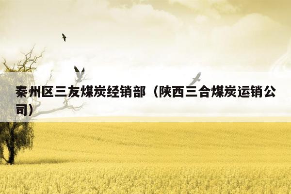 秦州区三友煤炭经销部（陕西三合煤炭运销公司）