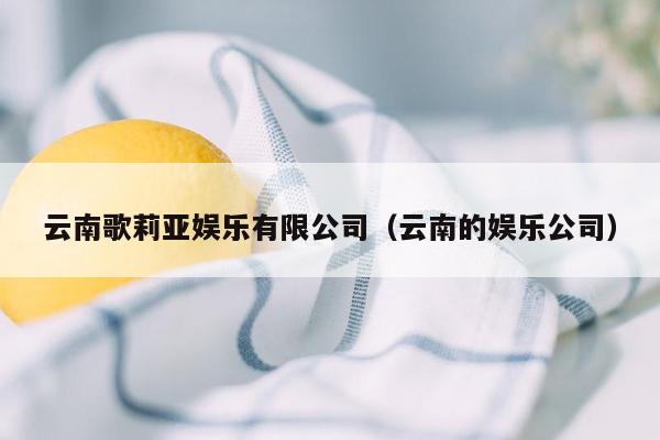 云南歌莉亚娱乐有限公司（云南的娱乐公司）
