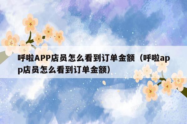 呼啦APP店员怎么看到订单金额（呼啦app店员怎么看到订单金额）