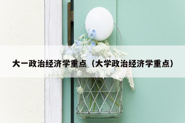 大一政治经济学重点（大学政治经济学重点）
