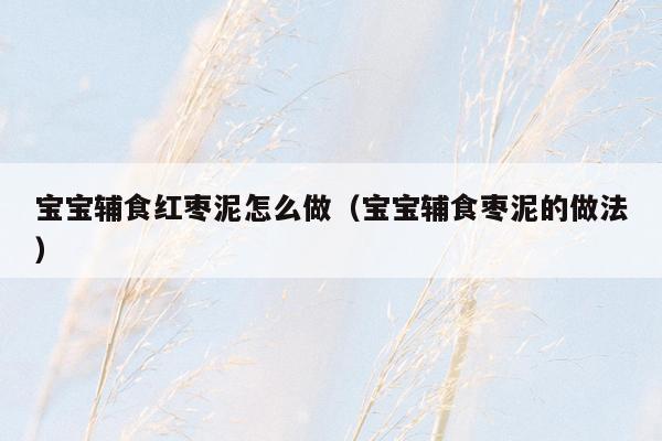 宝宝辅食红枣泥怎么做（宝宝辅食枣泥的做法）