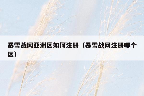 暴雪战网亚洲区如何注册（暴雪战网注册哪个区）