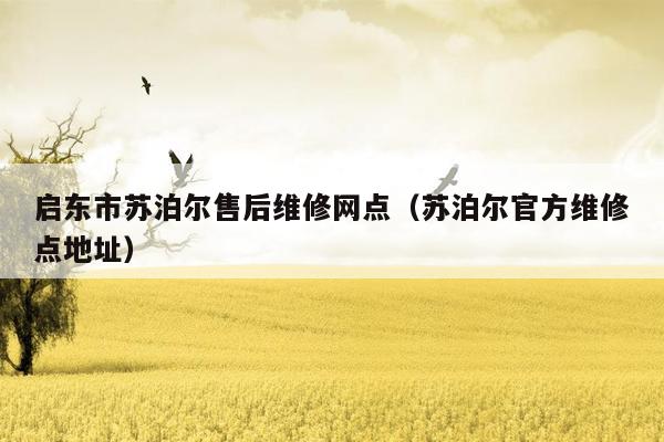 启东市苏泊尔售后维修网点（苏泊尔官方维修点地址）