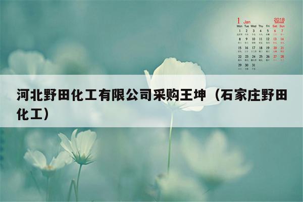 河北野田化工有限公司采购王坤（石家庄野田化工）