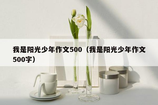 我是阳光少年作文500（我是阳光少年作文500字）