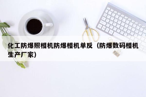 化工防爆照相机防爆相机单反（防爆数码相机生产厂家）