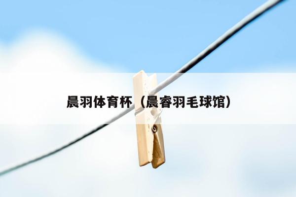 晨羽体育杯（晨睿羽毛球馆）