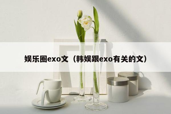 娱乐圈exo文（韩娱跟exo有关的文）