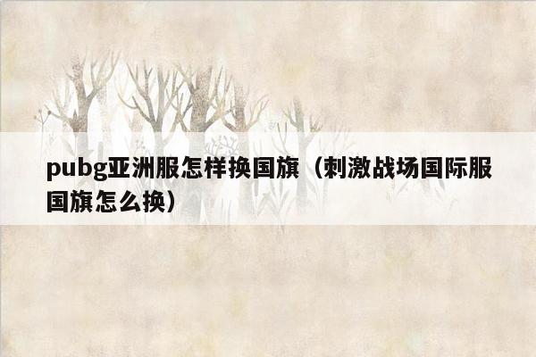 pubg亚洲服怎样换国旗（刺激战场国际服国旗怎么换）