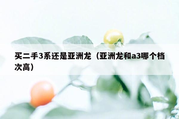 买二手3系还是亚洲龙（亚洲龙和a3哪个档次高）