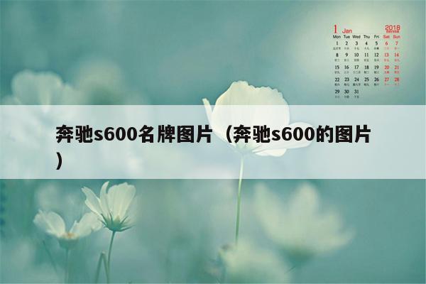 奔驰s600名牌图片（奔驰s600的图片）