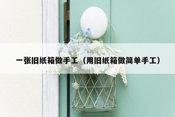 一张旧纸箱做手工（用旧纸箱做简单手工）