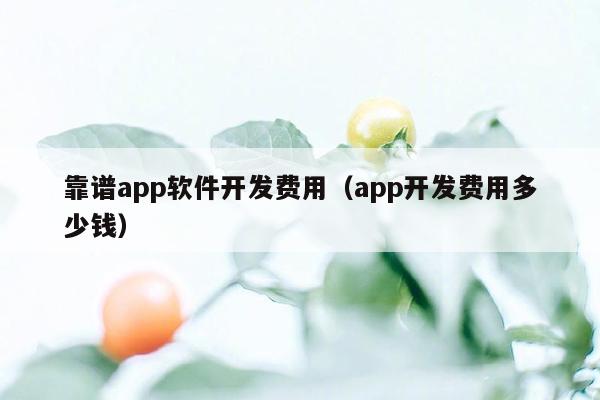 靠谱app软件开发费用（app开发费用多少钱）
