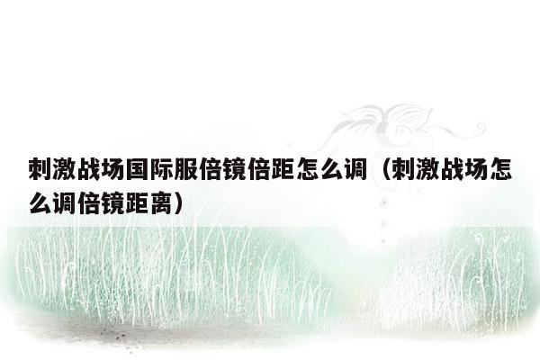 刺激战场国际服倍镜倍距怎么调（刺激战场怎么调倍镜距离）