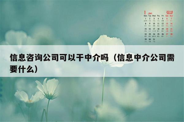 信息咨询公司可以干中介吗（信息中介公司需要什么）