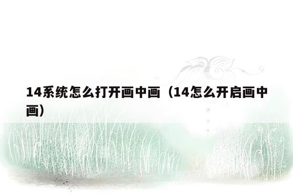 14系统怎么打开画中画（14怎么开启画中画）