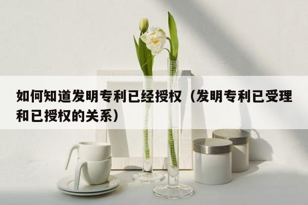 如何知道发明专利已经授权（发明专利已受理和已授权的关系）