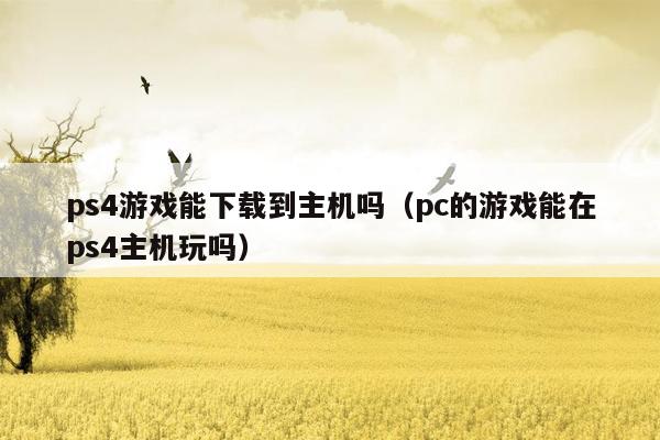 ps4游戏能下载到主机吗（pc的游戏能在ps4主机玩吗）