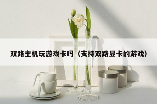 双路主机玩游戏卡吗（支持双路显卡的游戏）